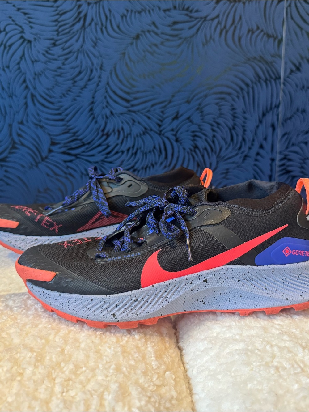Nike Pegasus Trail 3 GORE-TEX